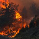 Seferihisar’da orman yangını: Müdahale havadan ve karadan sürüyor – Birlik Haber Ajansı