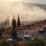 Muhittin Böcek’in gelini gözaltına alındı – Birlik Haber Ajansı