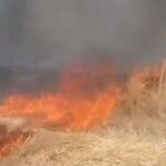 Amasya’da emekli olduğu gün traktör kazasında hayatını kaybetti – Birlik Haber Ajansı