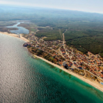 Ordu’nun fındığı yine Ordulunun emeğiyle toplanıyor – Birlik Haber Ajansı
