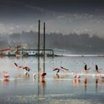 Giresun için yeni teşvikler – Birlik Haber Ajansı