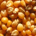 Adalet Bakanı Tunç’tan hukukta şeffaflık ve terörle mücadelede yeni dönem vurgusu – Birlik Haber Ajansı