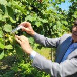 Kırmızı Bültenle Aranan 14 Suçlu Türkiye’ye Getirildi – Birlik Haber Ajansı