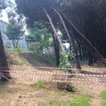 DEVA Partili Karal, şap salgınını Meclis gündemine taşıdı: Üretici kaderine terk edildi – Birlik Haber Ajansı