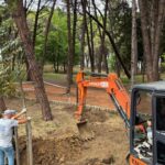 İstanbul Kayaşehir’de orman yangını – Birlik Haber Ajansı