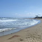 Bu hafta sinemalarda 12 yeni film: Aksiyondan animasyona dopdolu seçki – Birlik Haber Ajansı