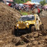 Türkiye’de bir ilk: Kapibara temalı yerli çocuk kitabı çıktı! – Birlik Haber Ajansı