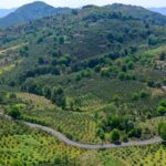 Uygulamalı eğitim programları BAÇEM’in kalitesini artırıyor – Birlik Haber Ajansı