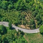 SDÜ’de 15 Temmuz şehitleri anısına helva dağıtıldı – Birlik Haber Ajansı