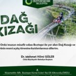 Kaymakam Mehmet Ali Semiz’den esnafa ziyaret: “Hayırlı işler, bereketli kazançlar” – Birlik Haber Ajansı