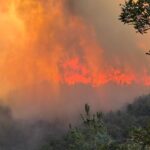 Cumhurbaşkanı Erdoğan: Hatay’ın anavatana katılması, millet iradesinin zaferidir – Birlik Haber Ajansı