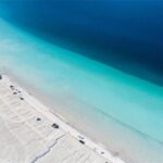 Türk çayı 6 ayda 104 ülkeye ulaştı! – Birlik Haber Ajansı