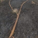 Cumhurbaşkanı Erdoğan: Yeşil Vatan’ımızı korumak için gece gündüz teyakkuz hâlindeyiz – Birlik Haber Ajansı