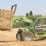 Mayıs ayında tavuk eti üretiminde artış, yumurta üretiminde düşüş yaşandı – Birlik Haber Ajansı