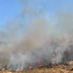 Erdoğan: Terörle mücadeleye ayrılan kaynaklar artık kalkınmaya yönlendirilecek