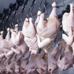 AK Parti 24 yaşında – Birlik Haber Ajansı