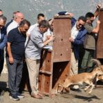 Yurt genelinde kavurucu sıcaklık: 24 kentte 40 derece aşıldı – Birlik Haber Ajansı