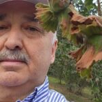 Giresun Milletvekili Ali Temür: Fındık emanet vermeyin – Birlik Haber Ajansı