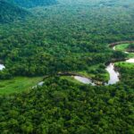 Felakete doğru: Amazon’un yeşil nefesi tükeniyor – Birlik Haber Ajansı