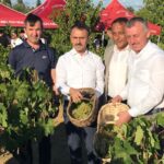 Başkan Büyükakın, İzmit’te üzüm hasadına katıldı – Birlik Haber Ajansı