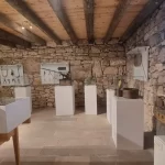 Lokomotif Çocuk Köyü’nde hasat sevinci – Birlik Haber Ajansı