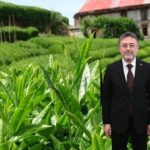 Eyyübiye batıkent’te yeni okul yolları açılıyor – Birlik Haber Ajansı