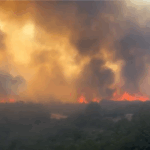 Karadeniz kadınının bitmeyen çilesi – Birlik Haber Ajansı