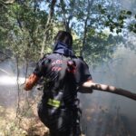 Kocaeli Büyükşehir, Karamürsel yangını için seferberlik ilan etti – Birlik Haber Ajansı