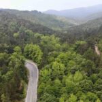 Bu hafta sinemalarda 9 yeni film vizyonda! – Birlik Haber Ajansı