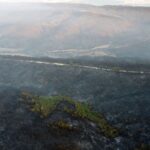 Her üç yolcudan ikisi İstanbul ve Antalya havalimanlarını tercih etti – Birlik Haber Ajansı