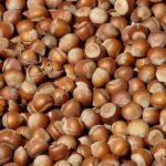 Gazze’de bir günde 8 kişi daha hayatını kaybetti