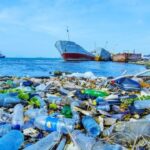 TDK, derlem tabanlı türkçe sözlüğü yapay zeka desteğiyle hazırlıyor – Birlik Haber Ajansı