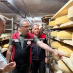 Boğatepe’de hayvancılık ve peynir yolculuğu: Geleneksel üretim yerinde incelendi – Birlik Haber Ajansı