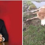 Antalya’da turist sayısı alarm veriyor: Belediyenin eksikleri krizi derinleştiriyor – Birlik Haber Ajansı