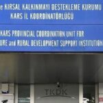 Gökbel Yağlı Güreşlerinde, altın kemer yeniden Enes Doğan’ın – Birlik Haber Ajansı