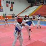 Batman'da 'Yedi Hilal'den yaz kapanışı