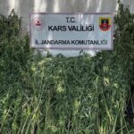 Başkan Büyükakın, Karamürsel ve Gölcük otogarlarının eski ve yeni halini paylaştı – Birlik Haber Ajansı