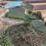 Ekonomik güven endeksi ağustosta yükseldi – Birlik Haber Ajansı