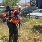 2024’te faal girişimlerin yüzde 44,4’ü hizmet sektöründe – Birlik Haber Ajansı