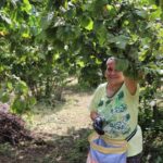 Trabzon ve Kırklareli’de denize girmek bugün yasaklandı – Birlik Haber Ajansı