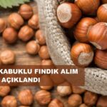 Samsun eski Büyükşehir Belediye Başkanı Mustafa Demir hayatını kaybetti – Birlik Haber Ajansı