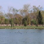 Isparta’da spor kompleksleri tek tek hizmete açılıyor – Birlik Haber Ajansı