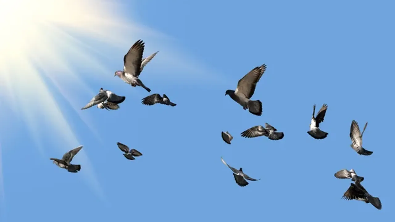 Muğla Büyükşehir İtfaiyesi’ne 72 yeni araç geliyor – Birlik Haber Ajansı