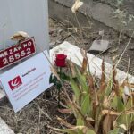 Cumhurbaşkanı Erdoğan, Zelenski ile telefonda görüştü – Birlik Haber Ajansı