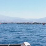 İstanbul’da narkotik operasyonu: 2 şüpheli gözaltına alındı – Birlik Haber Ajansı