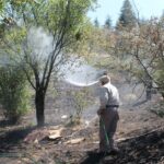 Avukat Akhan’dan uyarı: “Yeni emlak vergisi artışı kiracının sırtına binecek” – Birlik Haber Ajansı