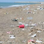 Eğirdir Gölü için duyarlılık çağrısı – Birlik Haber Ajansı