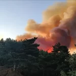 Beşiktaş Başkanı Serdal Adalı: “25 oyuncuyla yollarımızı ayırdık, yeni sezona hazırız” – Birlik Haber Ajansı