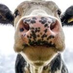 Sigorta sektörünün aktif büyüklüğü 2,9 trilyon liraya ulaştı – Birlik Haber Ajansı