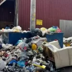 Meta, yapay zekada işe alımları durdurdu – Birlik Haber Ajansı